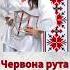 Марина Полончак Червона рута Part 2