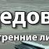 Аэропорт ДОМОДЕДОВО Москва DME Транзит вылет прилёт Полёт Ural Airlines Москва Калининград