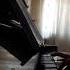 Ludovico Einaudi Come Un Fiore