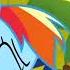 Rainbow Dash Laughing