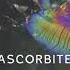 Ascorbite Dissolution Of Vanity Original Mix CRSQ007