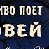 Как красиво поет соловей ночью в лесу слушать 1 ЧАС Божественно Чарующие звуки природы для души