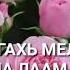 Марнана декъала йойла ОЗВУЧКА