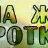 Наша жизнь коротка словно птицы полет