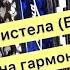 Вот пуля просвистела Батька атаман разбор на гармони