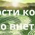 Возможность контакта с иными во внетелесном опыте