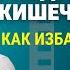 СРК как избавиться Лечение синдрома раздраженного кишечника