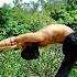 All Levels Hatha Yoga Flow Beginner To Intermediate Level Complete Workout Flexibility