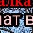 Фиалка Хеппи Женат ли чабан кого он содержит и на каком языке они друг с другом изъясняются