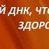 НАУЧИТЕСЬ ГОВОРИТЬ СО СВОЕЙ ДНК ЧТОБЫ ВЕРНУТЬ ЗДОРОВЬЕ Учение Аркадия Петрова Древо Жизни