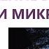 Уничтожение всех вирусов и микробов грибков и спор грибков Настрои Сытина Г Н