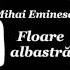 Mihai Eminescu Floare Albastra Romantism OPERE BAC