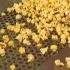 The Science Behind Popping Popcorn