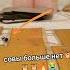 гадание бещясть алилуя сова совы тарология таро таролог гаданиенатароонлайн