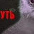 Сибирская Жуть СБОРНИК 12
