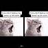 Here S The Sped Up Version Spedup Fyp Roadto100subs Scary Cat Meow Cutecat Death Creepy