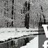 Музыка для релаксации Чудесный зимний лес Relaxation Music Winter Forest