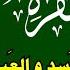 سورة البقرة علاج السحر والحسد والعين الشيخ عبدالباسط عبدالصمد القرآن الكريم