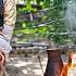 Rural Life Türkiye Cooking Fresh Country Chicken And Fresh Beef Liver