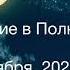 Важно Бобровое Полнолуние 16 ноября 2024 года аурика ченнелинг прогноз