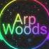 Dj MESUT BARLAK ARP WOODS ORİGİNAL MİX