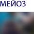 Биология Половое размножение Гаметогенез Мейоз