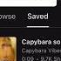 All I Wanted Was CAPYBARA Capybara Trending Songs Sounds Mix Combine Funny