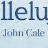 John Cale Hallelujah Lyrics