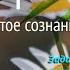 День 4 Марафон Изобилия хорошая озвучка Дипак Чопра 21 день изобилия