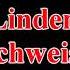 Till Lindemann Schweiss Lyrics