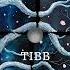 Tibb It S Coming CRPT036