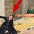 Love On Fire Ava And Amir S Battle Against Majid