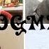 ПРОБУЮ НОВИНКИ TRY A CHAPTER TAG VLOGMAS