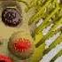 Baldi S Basics Plus The Test Poster In Desc