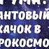 Горе от ума Квантовый скачок в микрокосмос Человека РА з УМНОГО