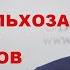 Рекордный урожай зерна разоряет сельчан ЧИНОВНИКИ ЗАРАБАТЫВАЮТ МИЛЛИАРДЫ Мельниченко