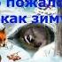 Добро пожаловать Зима или как зимуют звери