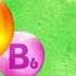 Bio Баланс