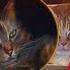 ღУлыбнулись Все мужики коты ღ МАРГАРИТА СУВОРОВА