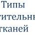 Биология Объяснение темы Типы растительных тканей