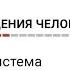 Биология поведения человека Лекция 14 Лимбическая система Роберт Сапольски 2010 Стэнфорд