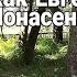 ПАРОДИЯ НА ЕВГЕНИЯ ПОНАСЕНКОВА ИЛИ ОДИН ДЕНЬ КАК ЕВГЕНИЙ ПОНАСЕНКОВ