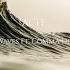 AC13 Waves Ft Comma Dee Lyrics