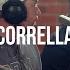 Corrella Lady Divine Live At Roundhead