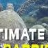 Fly Or Dive The Ultimate UNESCO Great Barrier Reef Experience