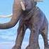 How Strong Is An Elephant S Trunk