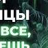 Выйди из Матрицы забери контроль над своей жизнью Новогодний челлендж силы мысли