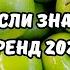 ТАНЦУЙ ЕСЛИ ЗНАЕШЬ ЭТОТ ТРЕНД 2024