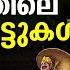 ത ര വ ണ ദ നത ത ല ഓണപ പ ട ട കൾ Onam Songs Malayalam Onapattukal Malayalam Thiruvonam Songs