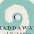 Haddaway Life 12 Mix 1993